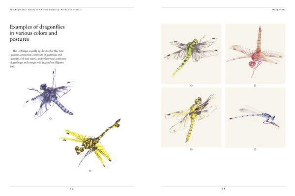 The Beginner's Guide to Chinese Painting: Birds and Insects