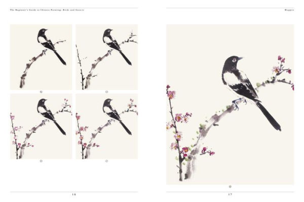 The Beginner's Guide to Chinese Painting: Birds and Insects