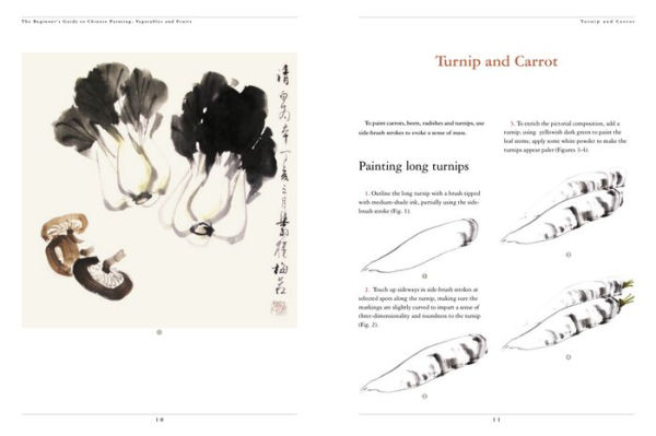 The Beginner's Guide to Chinese Painting: Vegetables and Fruits