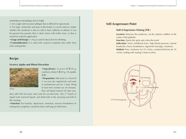 Using Traditional Chinese Medicine to Manage Your Emotional Health: How Herbs, Natural Foods, and Acupressure Can Regulate and Harmonize Your Mind and Body