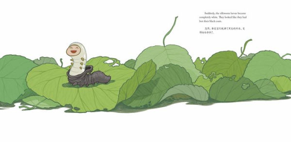 Magical Silkworm: A Story about a Birthday Gift Told in English and Chinese