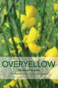 Title: Overyellow: The Poem as Installation Art, Author: Nicholas Pesquès