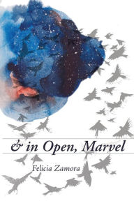 Title: & in Open, Marvel, Author: Felicia Zamora