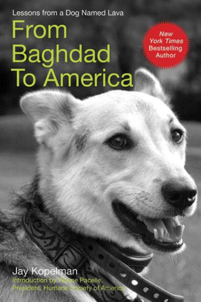 From Baghdad to America: Life after War for a Marine and His Rescued Dog