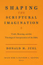 Shaping the Scriptural Imagination: Truth, Meaning, and the Theological Interpretation of the Bible