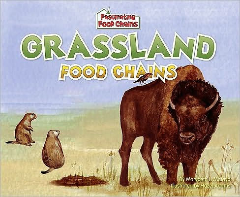 Grassland Food Chains