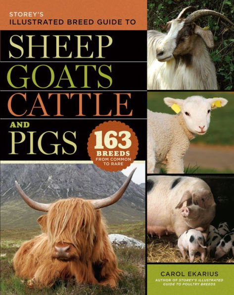 Storey's Illustrated Breed Guide to Sheep, Goats, Cattle and Pigs: 163 Breeds from Common Rare