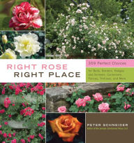 Title: Right Rose, Right Place, Author: Peter Schneider