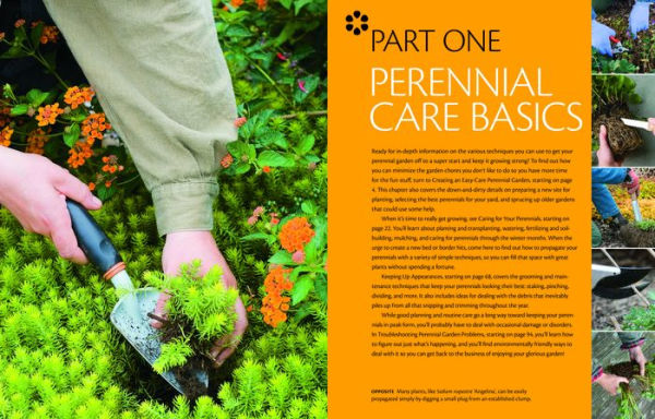 The Perennial Care Manual: A Plant-by-Plant Guide: What to Do & When to Do It