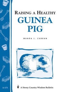 Title: Raising a Healthy Guinea Pig: Storey's Country Wisdom Bulletin A-173, Author: Wanda L. Curran