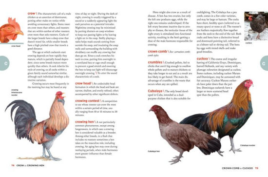 The Chicken Encyclopedia: An Illustrated Reference By Gail Damerow ...