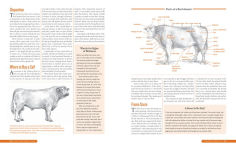Alternative view 5 of The Backyard Homestead Guide to Raising Farm Animals: Choose the Best Breeds for Small-Space Farming, Produce Your Own Grass-Fed Meat, Gather Fresh Eggs, Collect Fresh Milk, Make Your Own Cheese, Keep Chickens, Turkeys, Ducks, Rabbits, Goats, Sheep, Pigs,