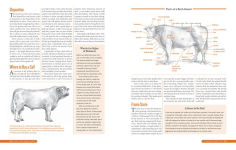 Alternative view 9 of The Backyard Homestead Guide to Raising Farm Animals: Choose the Best Breeds for Small-Space Farming, Produce Your Own Grass-Fed Meat, Gather Fresh Eggs, Collect Fresh Milk, Make Your Own Cheese, Keep Chickens, Turkeys, Ducks, Rabbits, Goats, Sheep, Pigs,