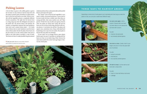 The Vegetable Gardener's Container Bible: How to Grow a Bounty of Food in Pots, Tubs, and Other Containers