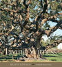 Living Witness: Historic Trees of Texas