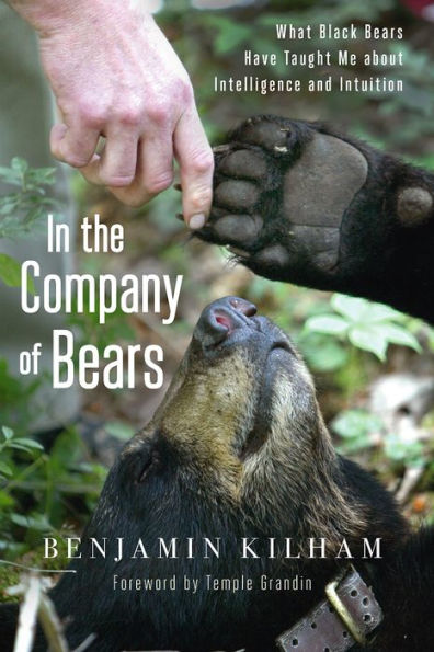 In the Company of Bears: What Black Bears Have Taught Me about Intelligence and Intuition