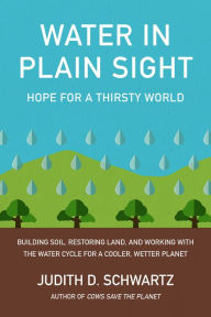 Title: Water in Plain Sight: Hope for a Thirsty World, Author: Judith D. Schwartz