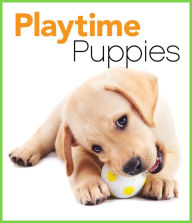 Title: Playtime Puppies, Author: Katie McConnaughey