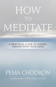 Title: How to Meditate: A Practical Guide to Making Friends with Your Mind, Author: Pema Chödrön