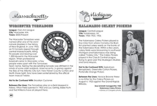 Root for the Home Team: Minor League Baseball's Most Off-the-Wall Team Names and the Stories Behind Them