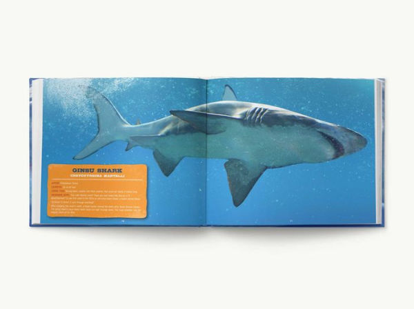 Discovering Sharks: The Ultimate Guide to the Fiercest Predators in the Ocean Deep