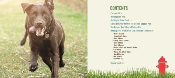 The Rescue Dog Bucket List: Hundreds of Tail-Wagging Activities to Share with Your Best Friend