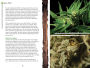 Alternative view 6 of Green Weed: The Guide to Growing Organic Cannabis