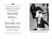 Alternative view 3 of The Georgia O'Keeffe Signature Notebook: An Inspiring Notebook for Curious Minds