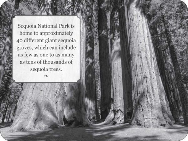 The Sequoia National Park Signature Edition: An Inspiring Notebook for Curious Minds