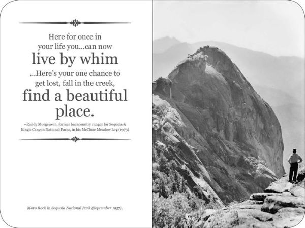 The Sequoia National Park Signature Edition: An Inspiring Notebook for Curious Minds