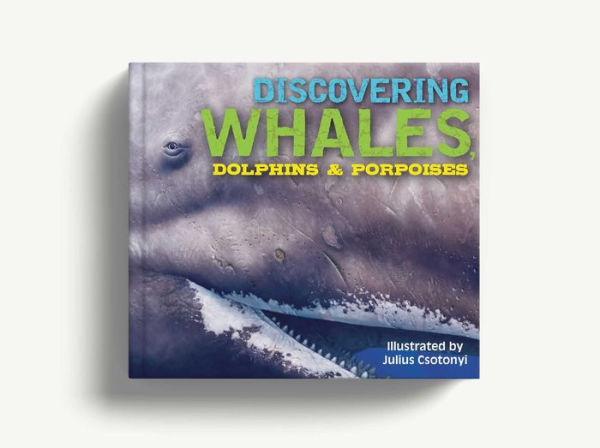 Discovering Whales, Dolphins and Porpoises: The Ultimate Guide to the Ocean's Largest Mammals