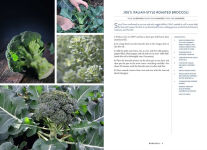 Alternative view 4 of Vegetables: The Ultimate Cookbook Featuring 300+ Delicious Plant-Based Recipes (Natural Foods Cookbook, Vegetable Dishes, Cooking and Gardening Books, Healthy Food, Gifts for Foodies)