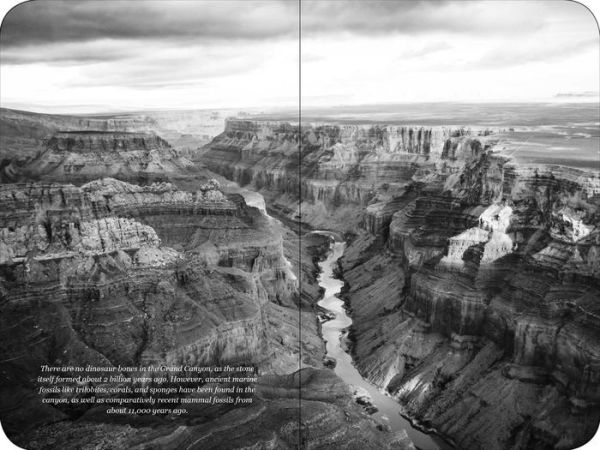 The Grand Canyon National Park Signature Edition: An Inspiring Notebook for Curious Minds
