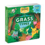 Pokï¿½mon Primers: Grass Types Book