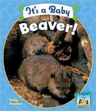 Title: It's a Baby Beaver!, Author: Kelly Doudna