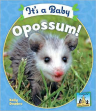 Title: It's a Baby Opossum!, Author: Kelly Doudna