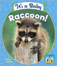 Title: It's a Baby Raccoon!, Author: Kelly Doudna