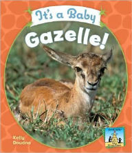 Title: It's a Baby Gazelle!, Author: Kelly Doudna