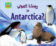 Title: What Lives in Antarctica?, Author: Oona Gaarder-Juntti