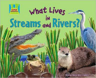 Title: What Lives in Streams and Rivers?, Author: Oona Gaarder-Juntti