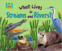 What Lives in Streams and Rivers?