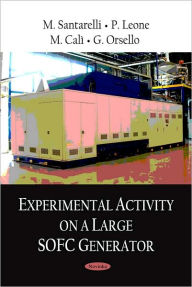 Title: Experimental Activity on a Large SOFC Generator, Author: M. Santarelli