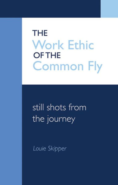 The Work Ethic of the Common Fly: Still Shots from the Journey
