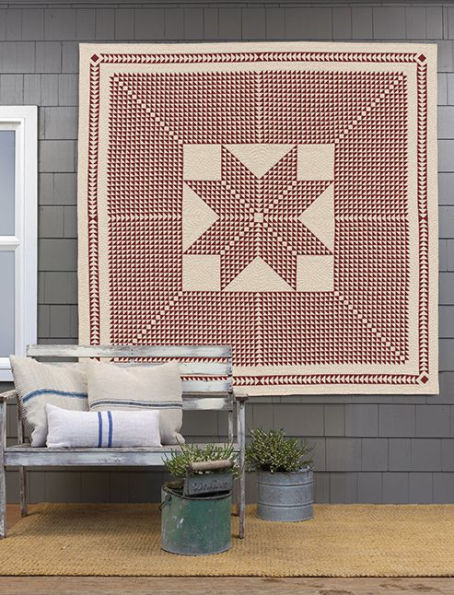 Red & White Quilts: 14 Quilts with Timeless Appeal from Today's Top Designers