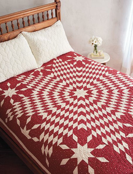 Red & White Quilts: 14 Quilts with Timeless Appeal from Today's Top Designers