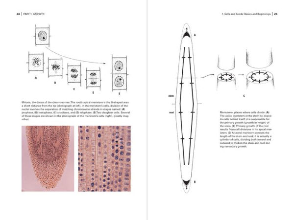 Botany for Gardeners