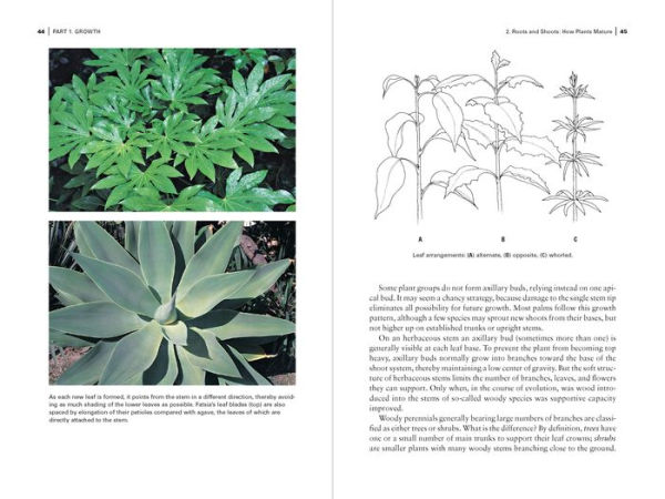 Botany for Gardeners