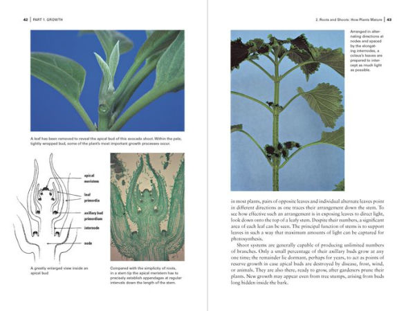 Botany for Gardeners