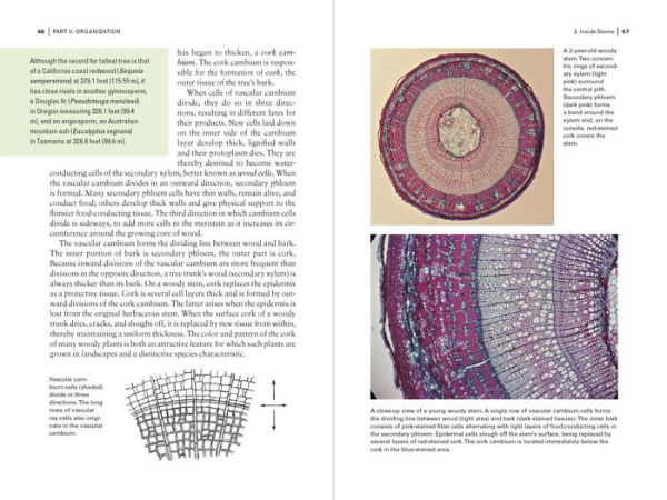 Botany for Gardeners