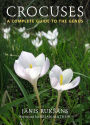 Crocuses: A Complete Guide to the Genus